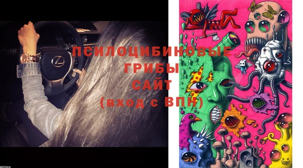 амф Кулебаки