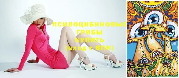 амф Кулебаки