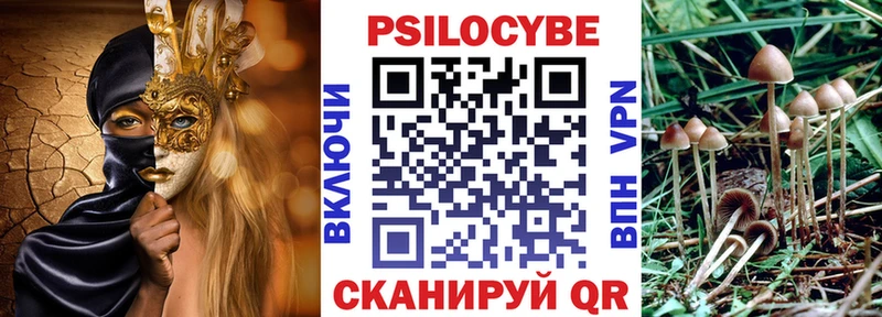 Купить  Костомукша  Псилоцибиновые грибы Magic Shrooms 